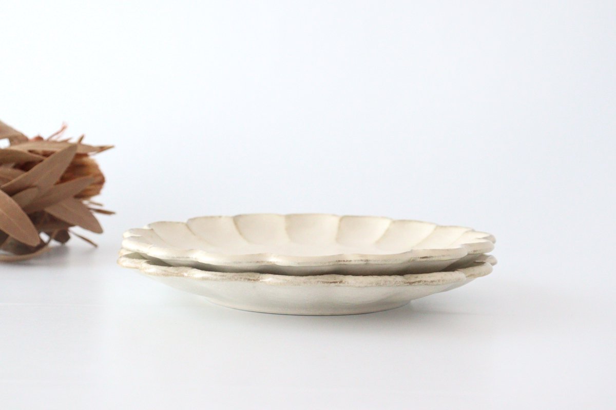 Chrysanthemum Shape Plate White 24cm/9.6in | Mino Ware