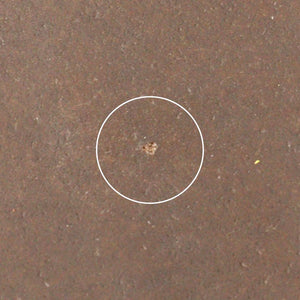 Furutani Seitosho Ruffle Plate Brown M-Detail14