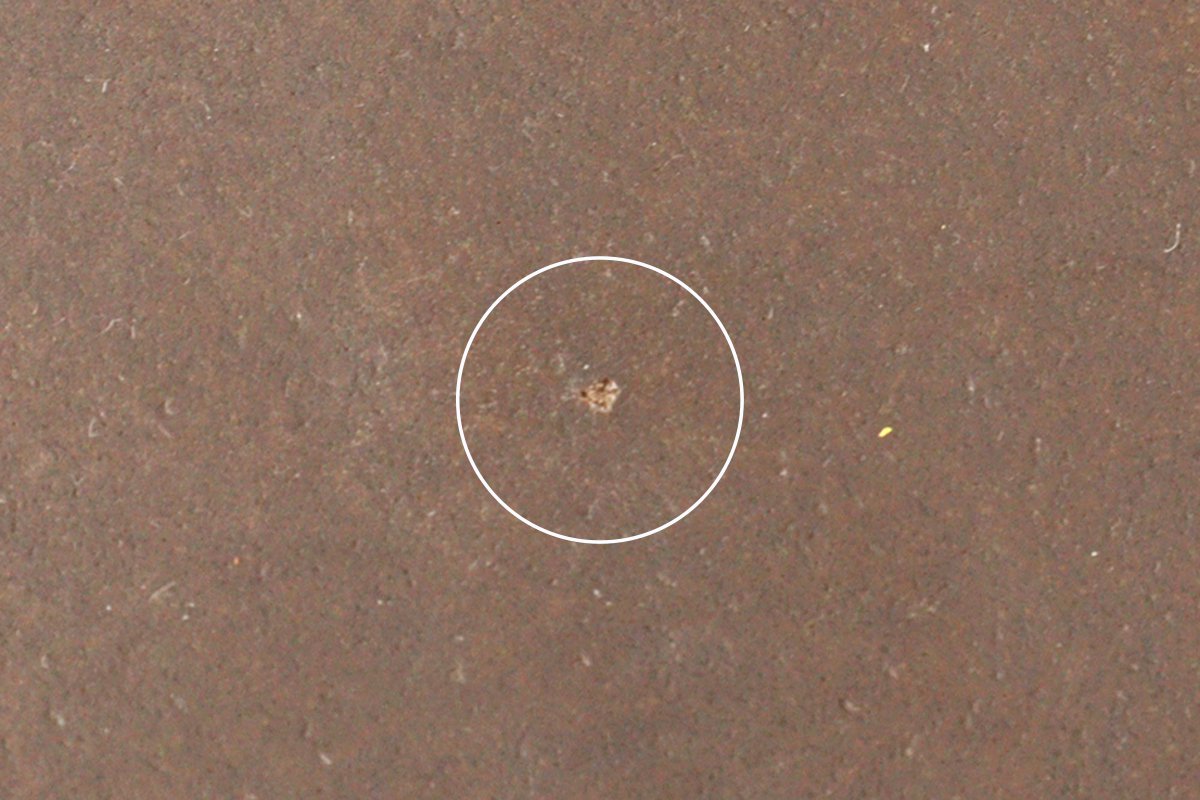 Furutani Seitosho Ruffle Plate Brown M-Detail14