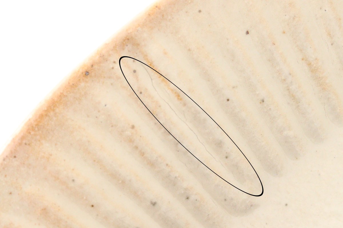 Furutani Seitosho Ruffle Plate White L-Detail12