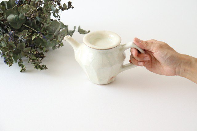 Furutani Seitosho Japanese Teapot Tetsusan Low | Kyusu