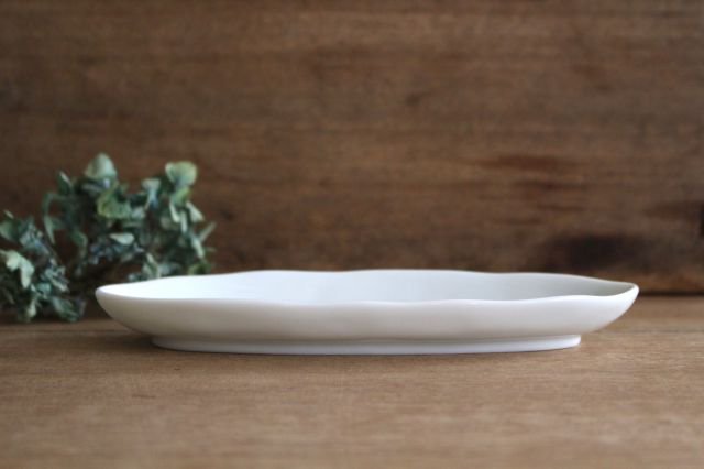 Harekutani Oval Plate Butterfly L | Kutani Ware