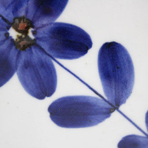 Square Plate Blue Flower 12cm/4.7in | Sushi Plate Hasami Ware-Detail2