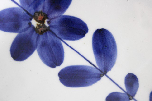 Square Plate Blue Flower 12cm/4.7in | Sushi Plate Hasami Ware-Detail2