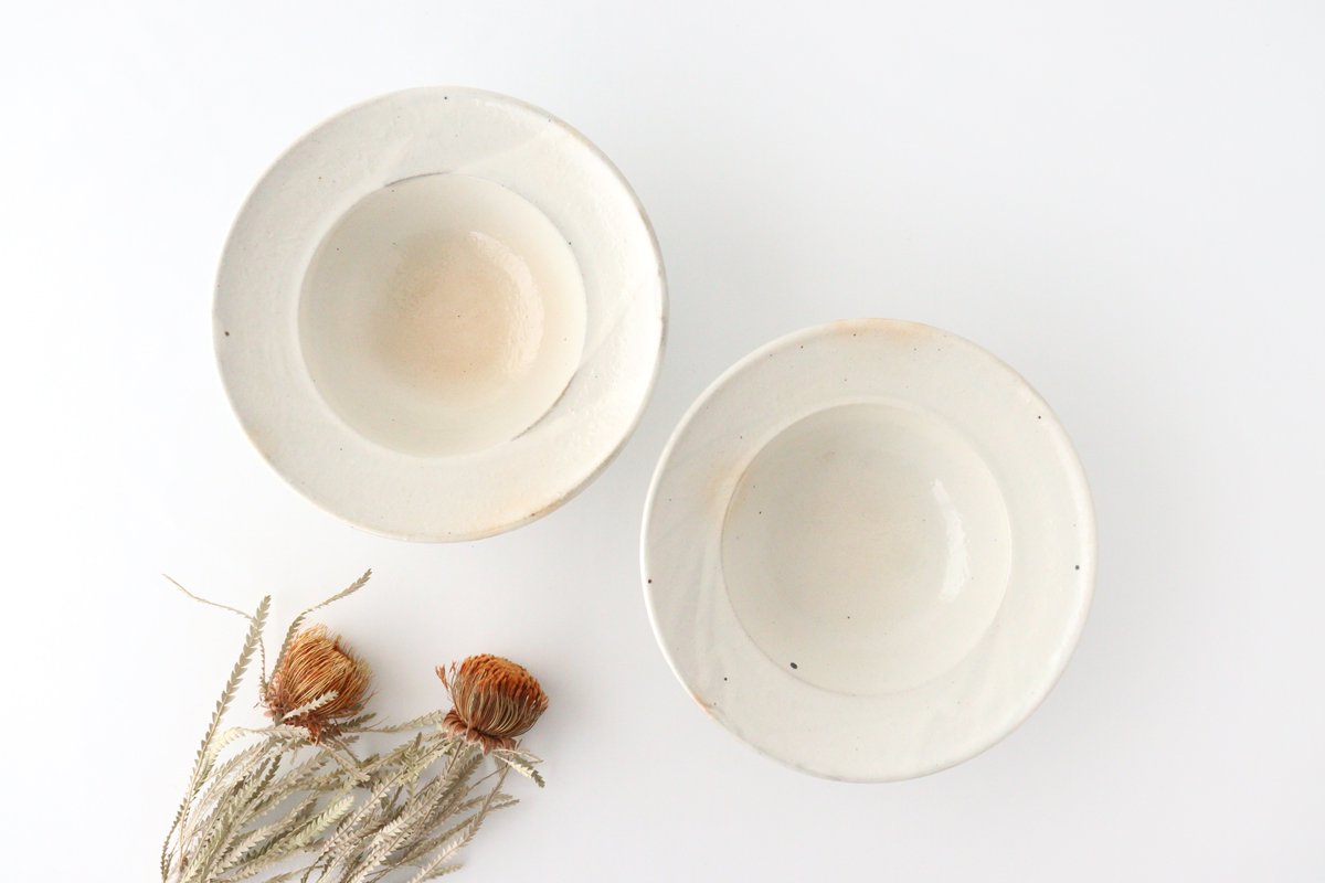 Furutani Seitosho Iron Glaze Rim Bowl L | Serving Bowl
