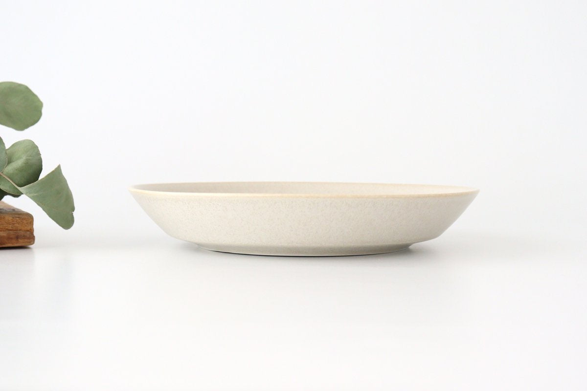 Cuole Large Bowl Silver White | Serving Bowl Mino Ware