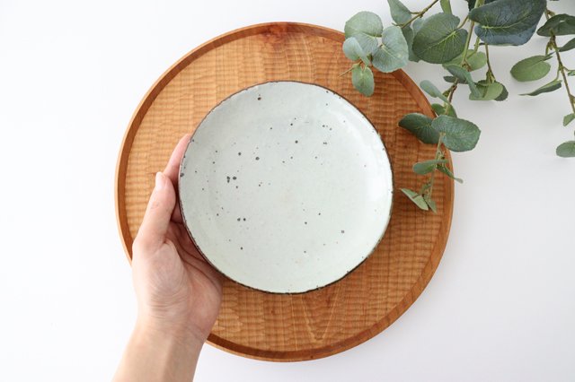 Round Plate White | Shigaraki Ware
