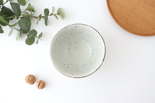 Donburi Bowl Iron Powder | Shigaraki Ware
