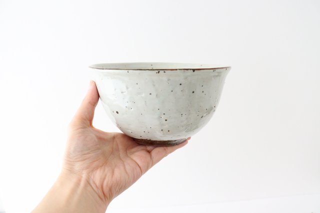 Donburi Bowl Iron Powder | Shigaraki Ware