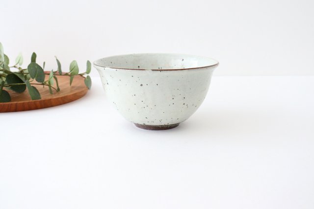 Donburi Bowl Iron Powder | Shigaraki Ware