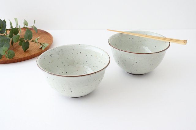 Donburi Bowl Iron Powder | Shigaraki Ware
