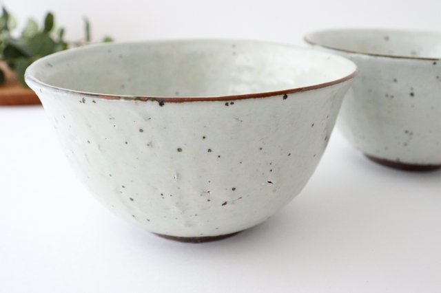 Donburi Bowl Iron Powder | Shigaraki Ware