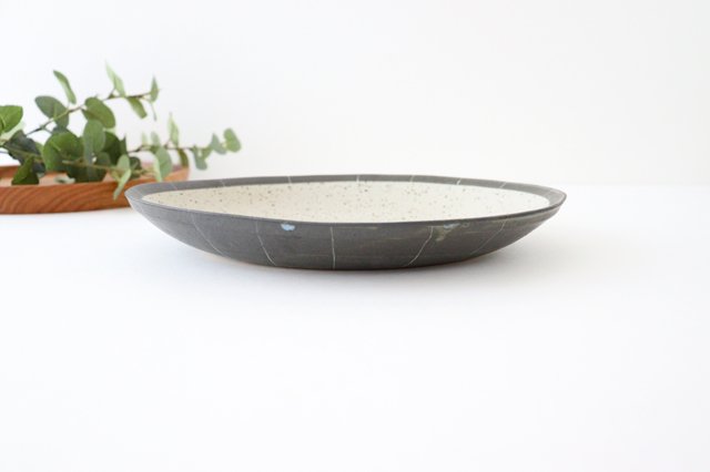 Curry Plate White | Shigaraki Ware
