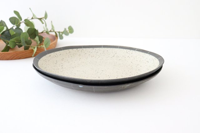 Curry Plate White | Shigaraki Ware