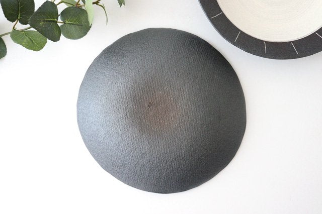 Rim Plate Line 24cm/9.4in | Shigaraki Ware