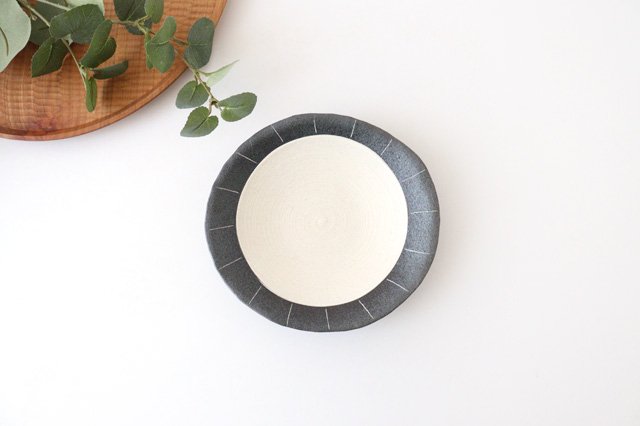 Round Plate Line 15cm/5.9in | Shigaraki Ware