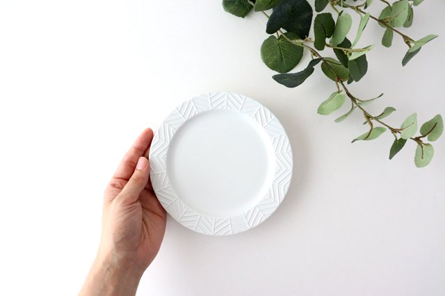 Rim plate 15cm white porcelain YABANE Hasami ware