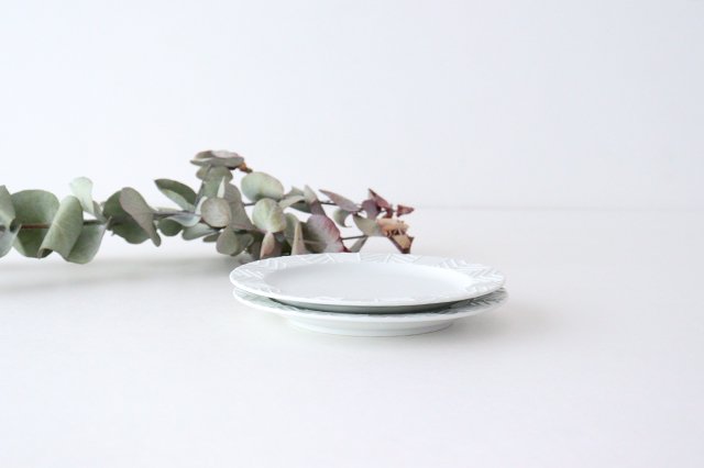 Rim plate 15cm white porcelain YABANE Hasami ware