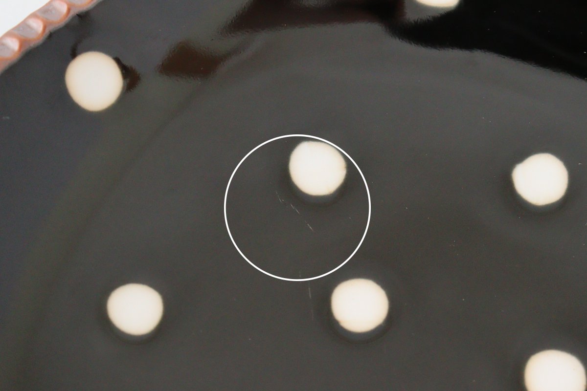 Round Plate PolKa Dot Medium | Arita Ware