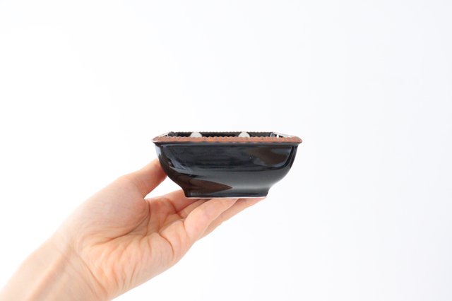 Small Square Bowl PolKa Dot | Kobachi Arita Ware