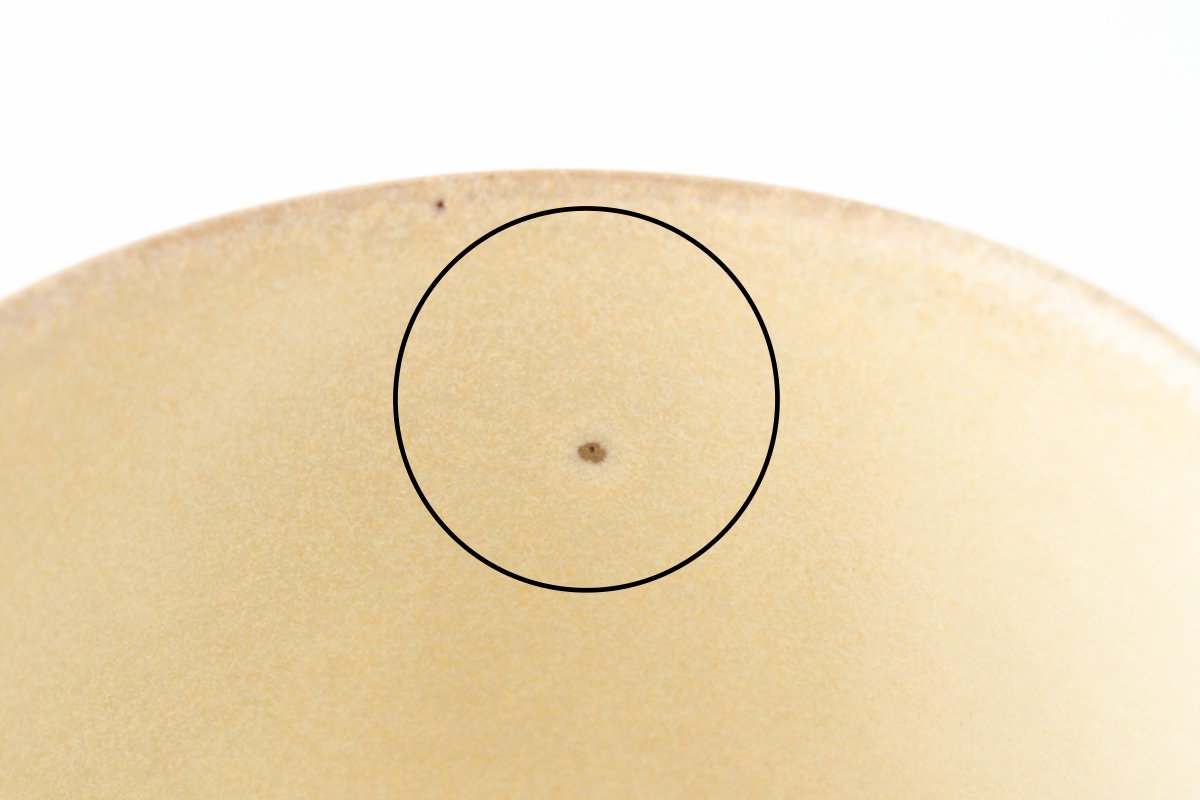 Sucre Japanese Cup Ivory | Yunomi Hasami Ware-Detail13