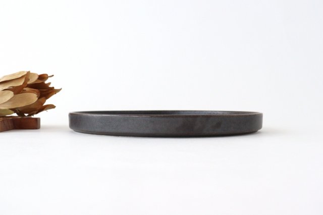 Arco Round Plate Black Matte 24.5cm/9.6in | Mino Ware