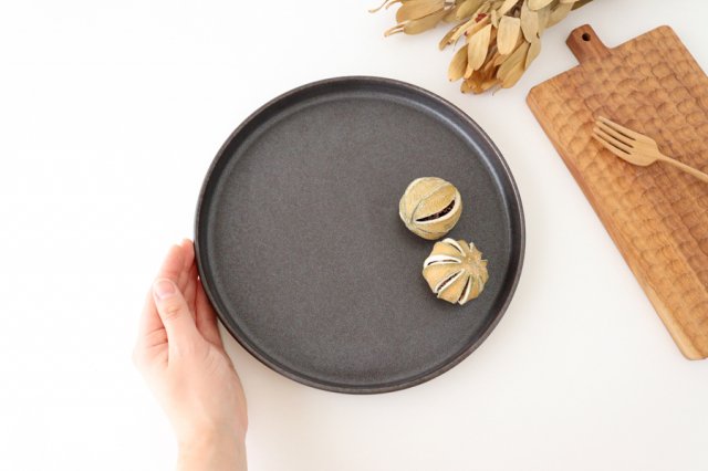 Arco Round Plate Black Matte 24.5cm/9.6in | Mino Ware