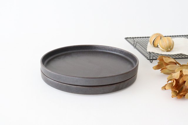 Arco Round Plate Black Matte 24.5cm/9.6in | Mino Ware