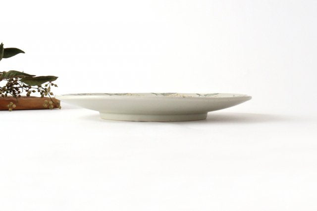 Round Plate Mimosa 21cm/8.3in | Hasamiyaki