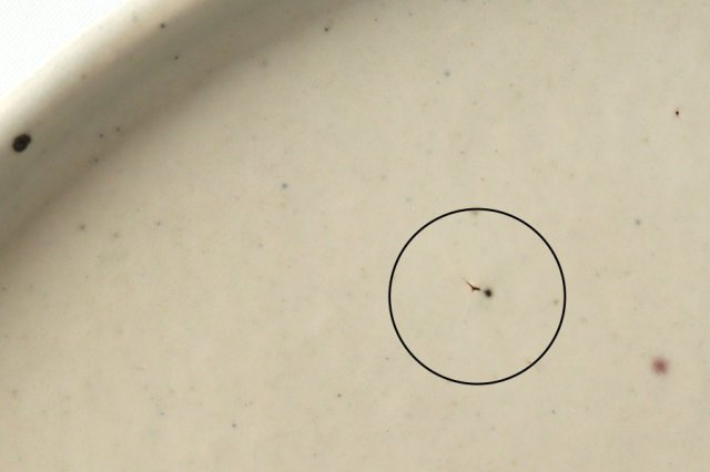 Round Plate Kohiki 24cm/9.4in | Shigaraki Ware