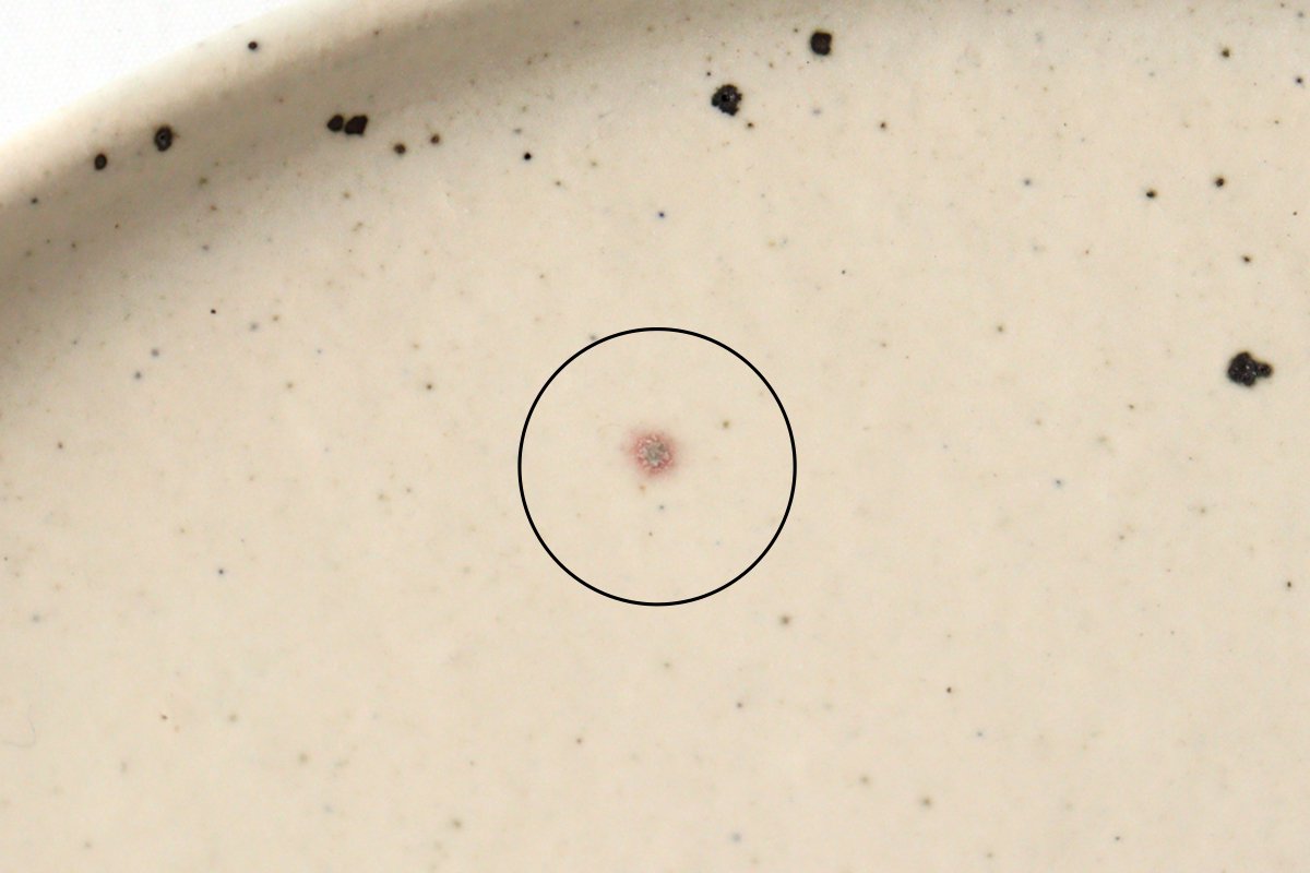 Round Plate Kohiki 24cm/9.4in | Shigaraki Ware