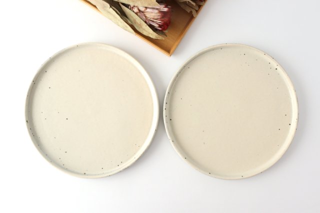 Round Plate Kohiki 24cm/9.4in | Shigaraki Ware