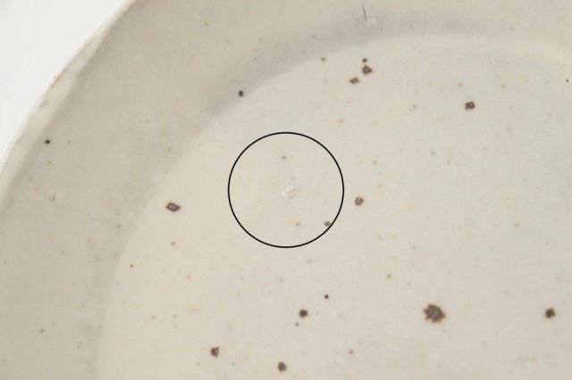 Side Plate White 15.0cm/5.9in | Shigaraki Ware