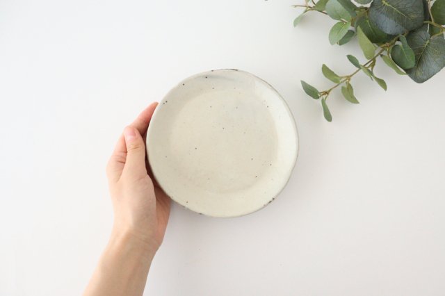 Side Plate White 15.0cm/5.9in | Shigaraki Ware