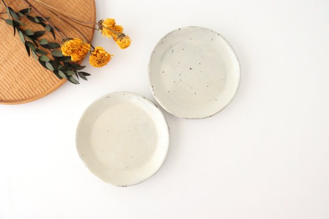 Side Plate White 15.0cm/5.9in | Shigaraki Ware