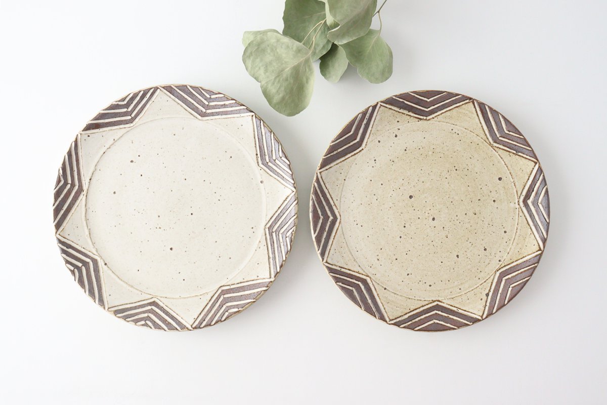 tomaru Plate Star 21cm/8.3in | Shigaraki Ware