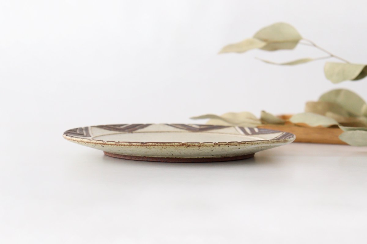 tomaru Plate Star 21cm/8.3in | Shigaraki Ware