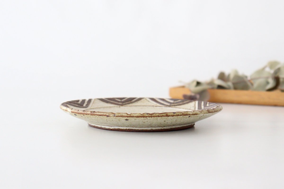 tomaru Plate Star 15cm/5.9in | Shigaraki Ware