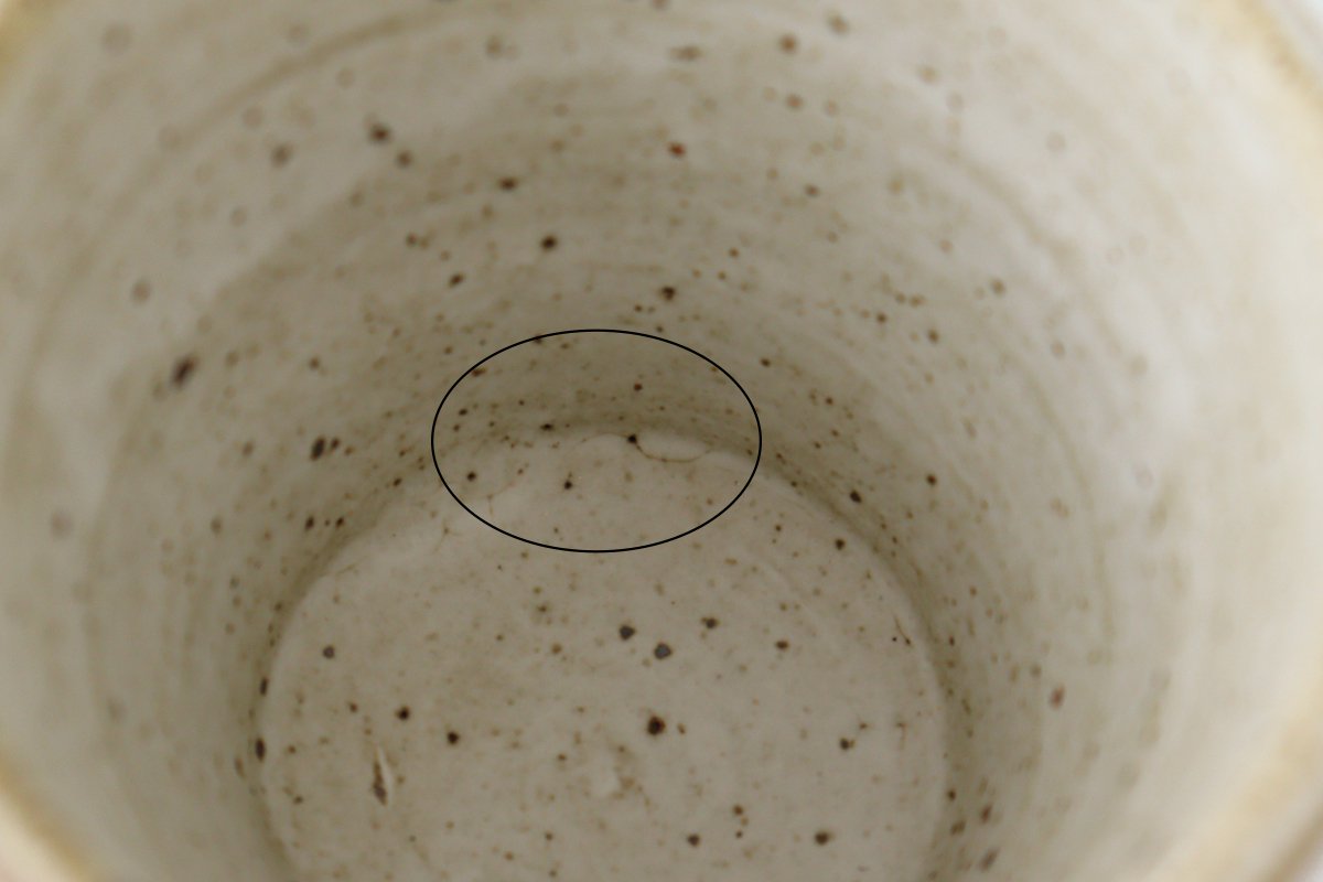 tomaru Japanese Cup Wave | Yunomi Shigaraki Ware-Detail14