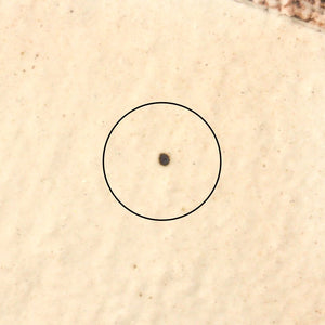 Furutani Seitosho Square Desert Plate 12cm/4.7in-Detail13