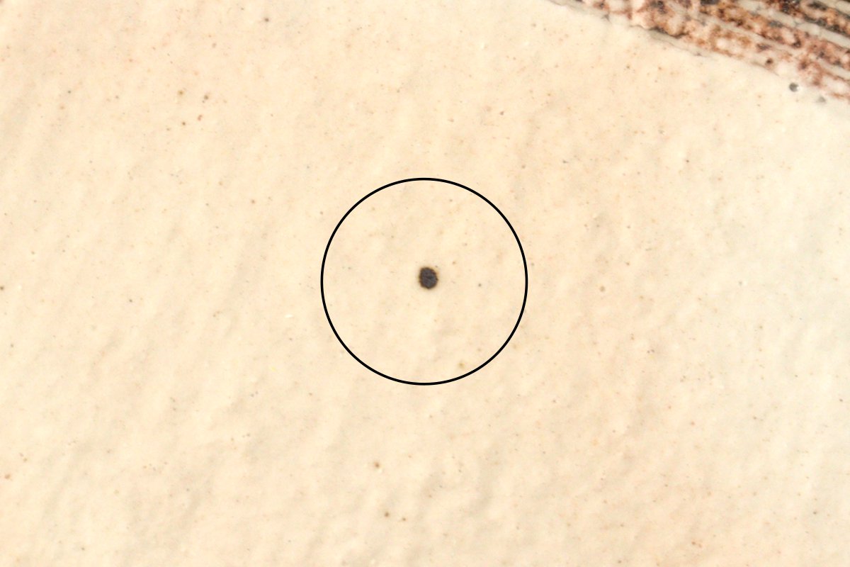 Furutani Seitosho Square Desert Plate 12cm/4.7in-Detail13