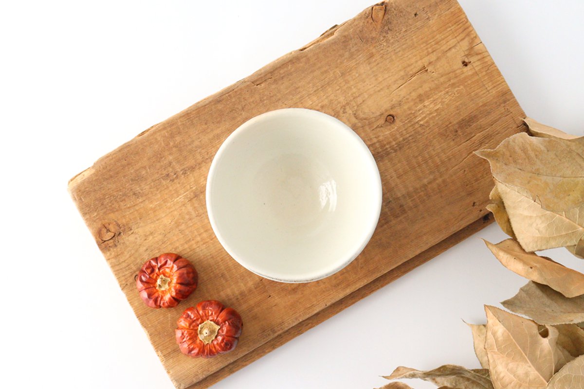 Furutani Seitosho Rice Bowl Horizontal Carving | Shigaraki Ware
