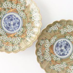 Rinkurou Kiln Round Plate Old Imari Sakura Tree Pattern 15cm/5.9in | Hasami Ware-Detail12