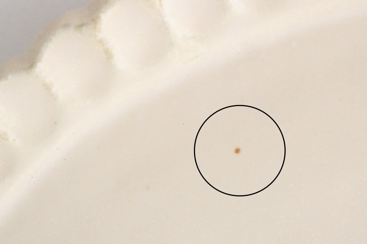 COCO Oval Plate L | Mino Ware