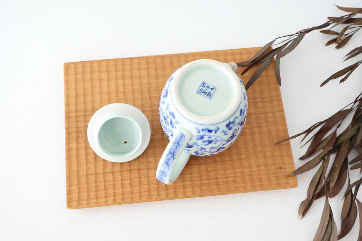 Japanese Teapot Cloisonné Flower Arabesque | Kyusu Arita Ware