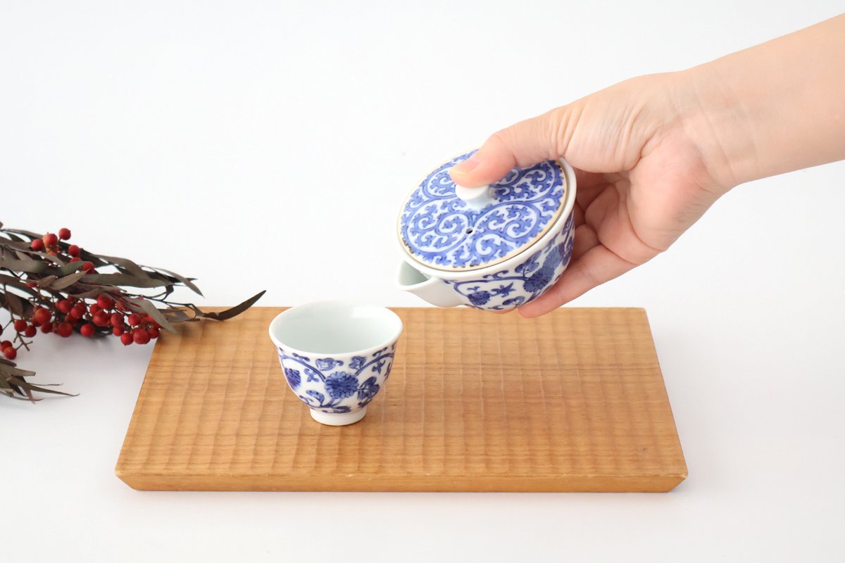 Japanese Teapot Hohin Chrysanthemum Arabesque | Kyusu Arita Ware