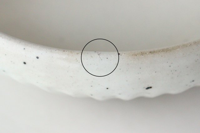 Large Bowl Shinogi White | Serving Bowl Mino Ware-Detail11