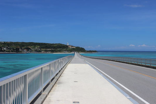 Discover Yachimun: A Journey to Okinawa’s Pottery and Culture