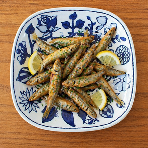 Square Plate Fower Parade Small | Sushi Plate Hasami Ware