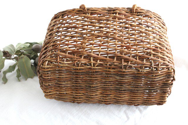 Akebi Basket Bag Oval Hola Knit [A] Aomori Akebi Vines Craft